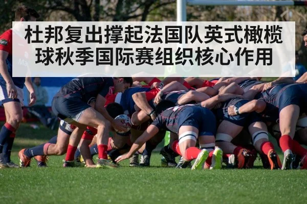 杜邦复出撑起法国队英式橄榄球秋季国际赛组织核心作用